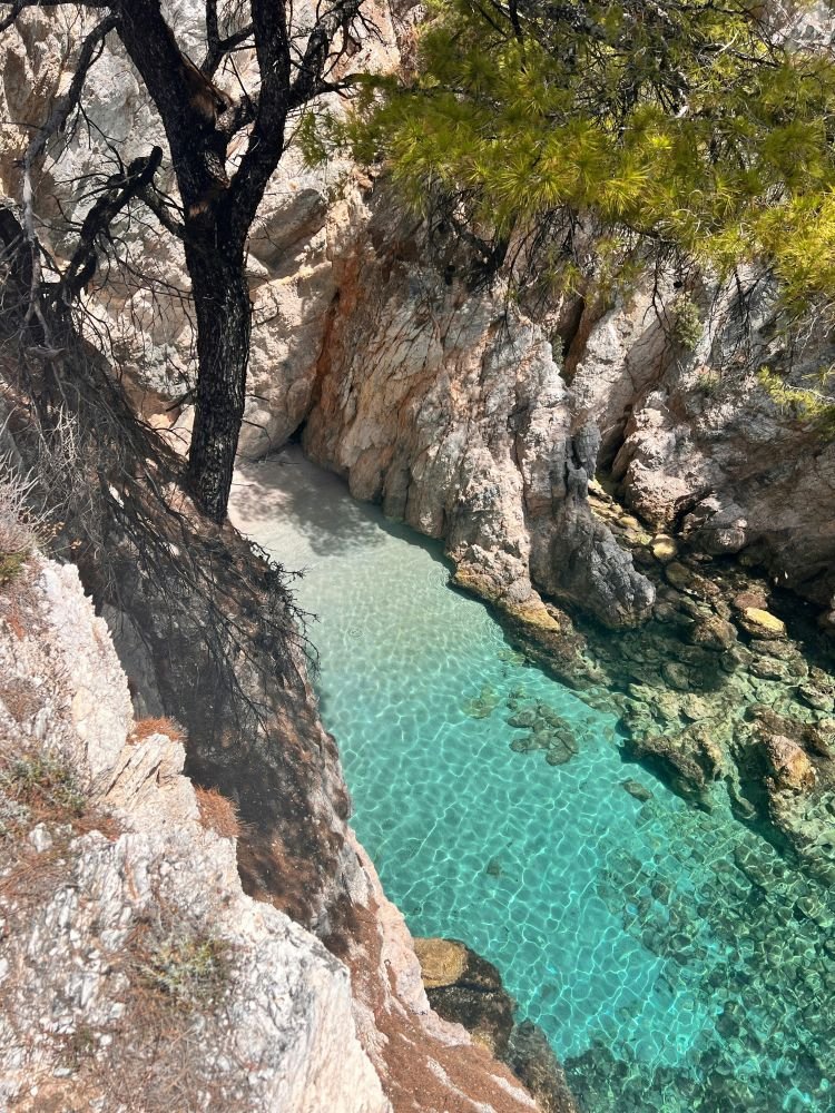 Τη θέση της ανάμεσα στους πλέον ελκυστικούς ελληνικούς προορισμούς για το 2026 επιβεβαιώνει η Σκόπελος μέσα από σχετικό αφιέρωμα του Σουηδικού Bucket List Magazine