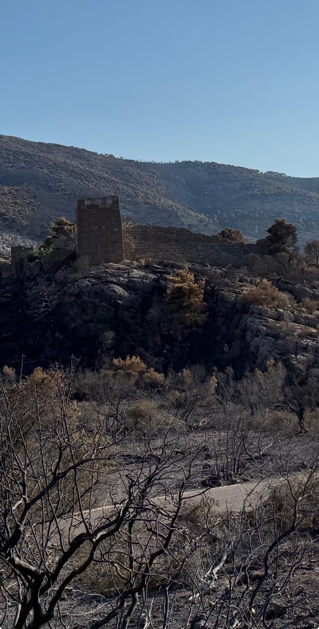 Ο αρχαιολογικός χώρος των Αιγοσθένων μετά την πυρκαγιά