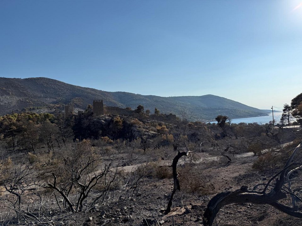 Ο αρχαιολογικός χώρος των Αιγοσθένων μετά την πυρκαγιά