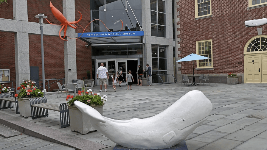 Σύμφωνα με την Κόνγουεϊ, η φετινή έκρηξη ενδιαφέροντος ξεκίνησε από μια διαφήμιση στο Instagram που ανακοίνωνε την επαναφορά του σχεδίου σε μπλούζες και φούτερ την προηγούμενη εβδομάδα / NEW BEDFORD WHALING MUSEUM