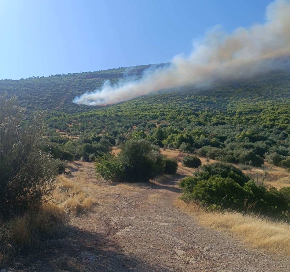 Φωτογραφία από διερχόμενο πεζό τα πρώτα λεπτά της πυρκαγιάς 
