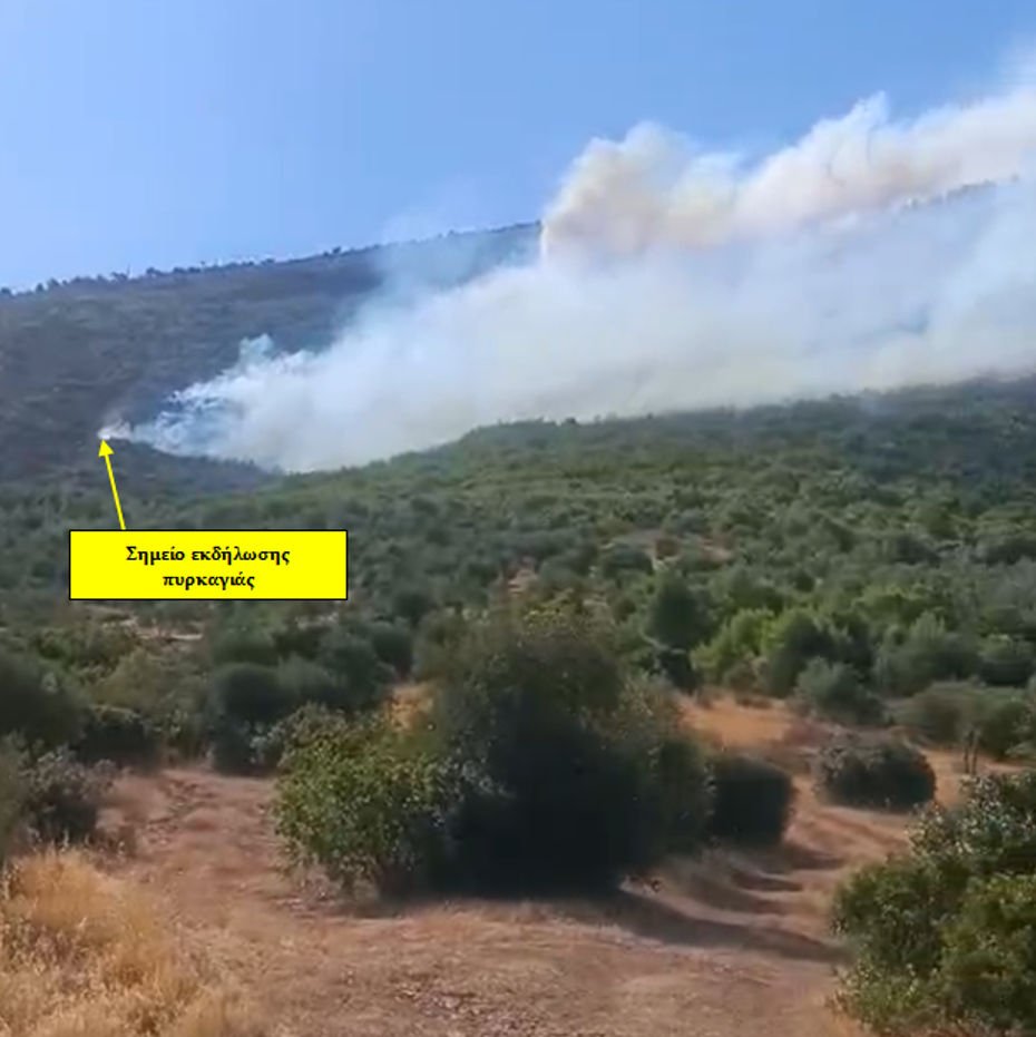 Το αρχικό σημείο εκδήλωσης της πυρκαγιάς εντοπίζεται πλησίον του δικτύου διανομής ηλεκτρικής ενέργειας μέσης τάσης που καταλήγει στις εγκαταστάσεις του αιολικού πάρκου 