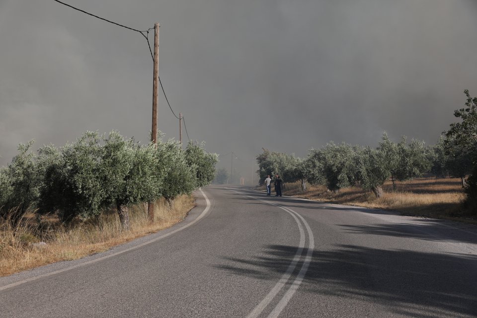 Φωτογραφία: Eurokinissi, ΤΑΤΙΑΝΑ ΜΠΟΛΑΡΗ