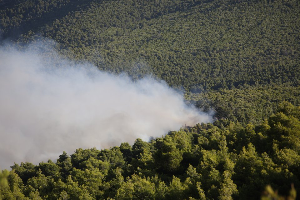 Φωτογραφία: Eurokinissi, ΤΑΤΙΑΝΑ ΜΠΟΛΑΡΗ 