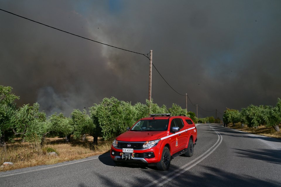 Φωτογραφία: Eurokinissi, ΤΑΤΙΑΝΑ ΜΠΟΛΑΡΗ 