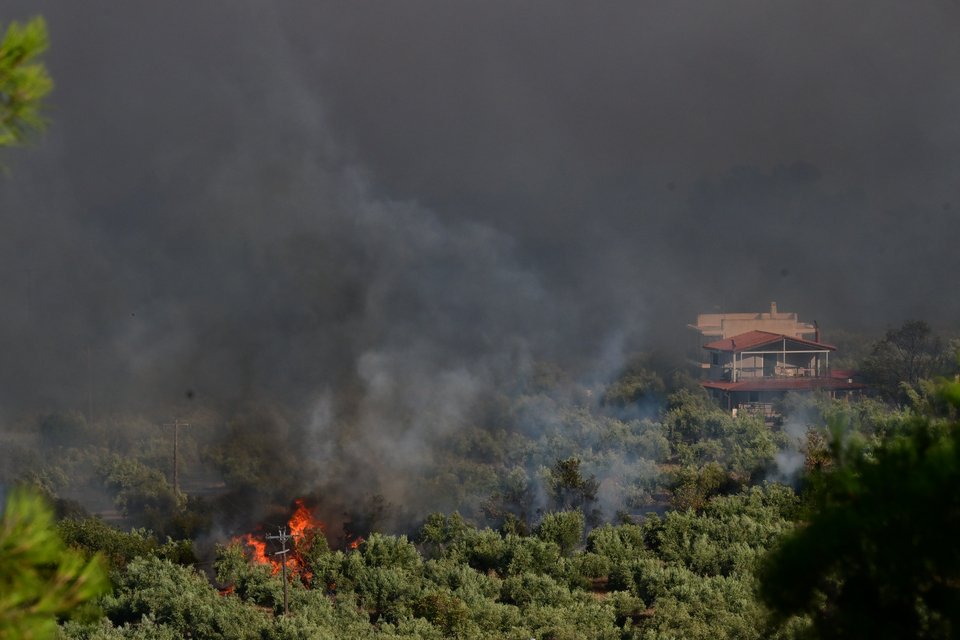 Φωτογραφία: Eurokinissi, ΤΑΤΙΑΝΑ ΜΠΟΛΑΡΗ 