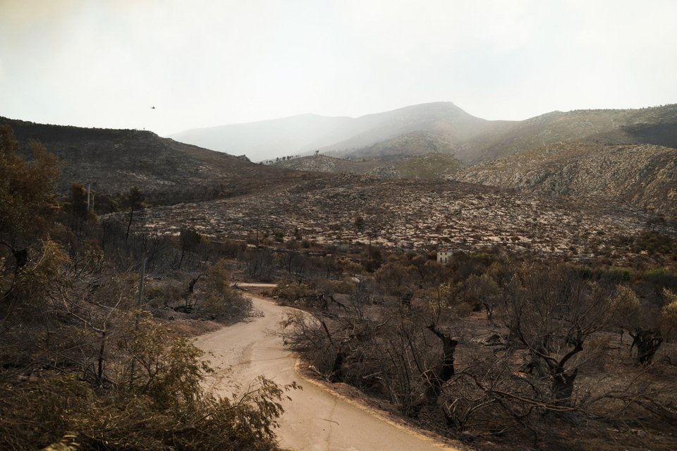 «Καμένη γη» άφησε η φωτιά στη Δυτική Αττική / SOOC, ΝΙΚΟΣ ΠΑΛΑΙΟΛΟΓΟΣ