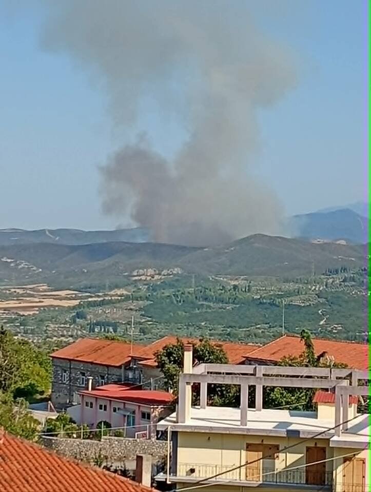 Πηγή: viotiaplus.gr