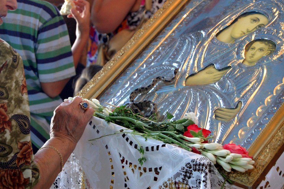 Τα φιδάκια εμφανίζονται την ημέρα της εορτής της Μεταμορφώσεως του Σωτήρος / Φωτογραφία: Eurokinissi 
