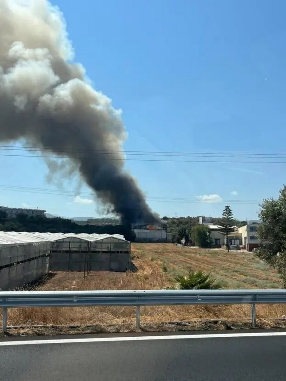 cretalive.gr