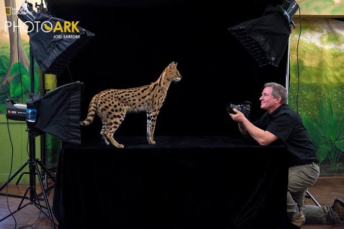 www.instagram.com/joelsartore 