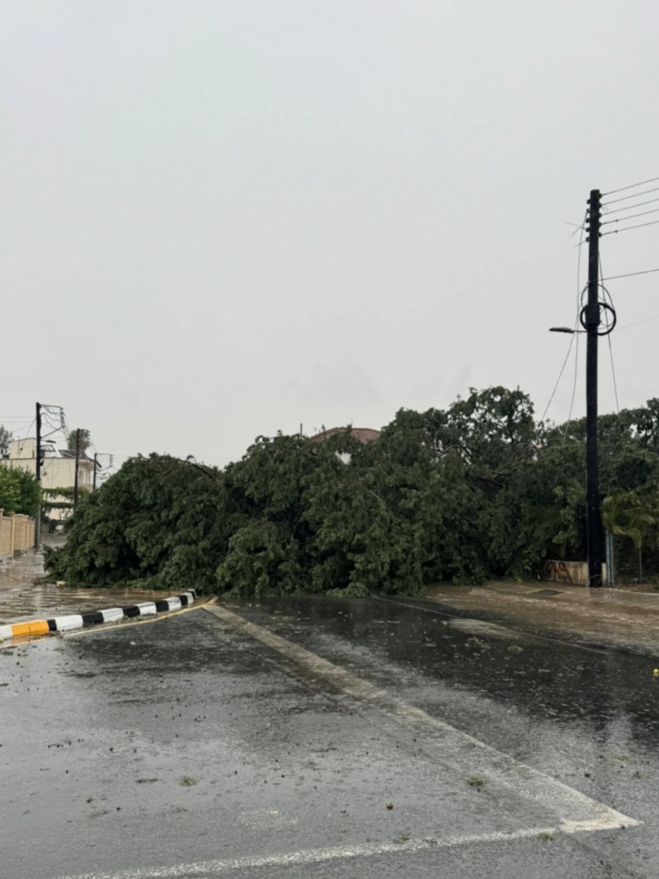Φωτογραφία: philenews