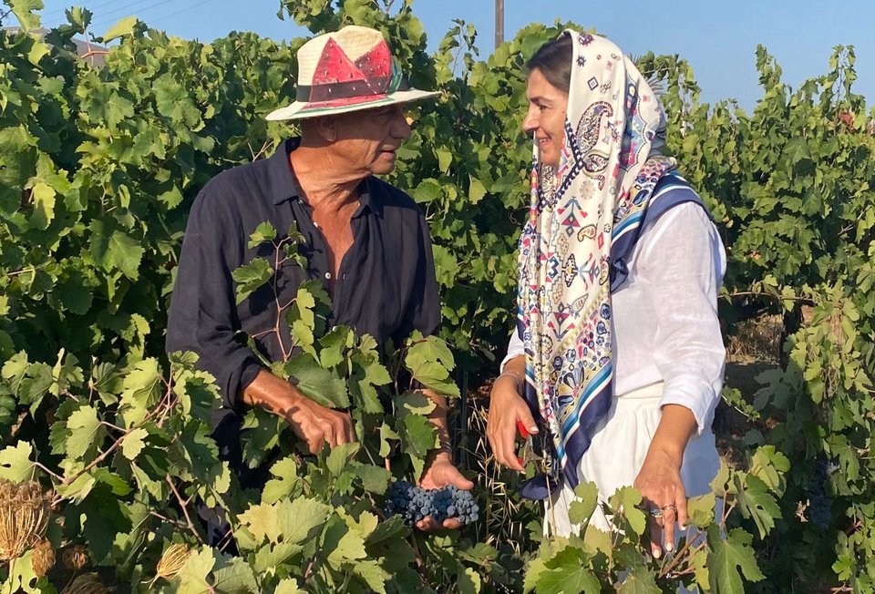 Το οινοποιείο «Μοraitico» του Γιώργου Μωραΐτη βρίσκεται στον αμπελώνα της Νάουσας