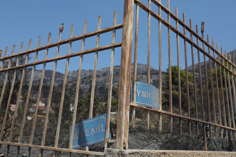 Περίφραξη καμένου σπιτιού στη Δυτική Αττική / Eurokinissi, ΔΑΝΑΗ ΔΑΥΛΟΠΟΥΛΟΥ
