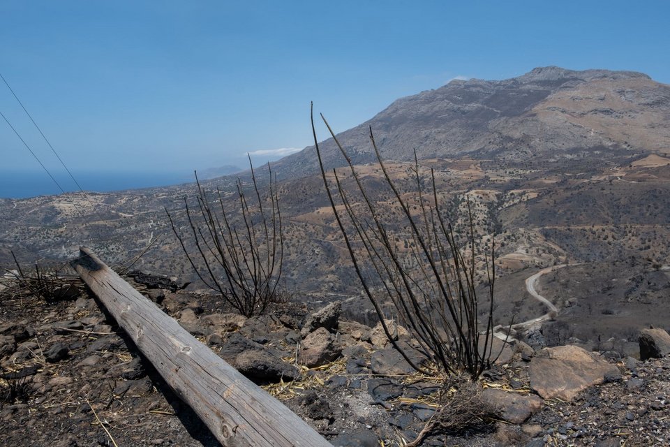 Αποκαΐδια, καμένοι κορμοί και πεσμένες κολόνες του δικτύου ηλεκτροδότησης στον Άγιο Παύλο Ρεθύμνου - (ΑΝΤΩΝΗΣ ΖΟΥΡΙΔΑΚΗΣ / EUROKINISSI)