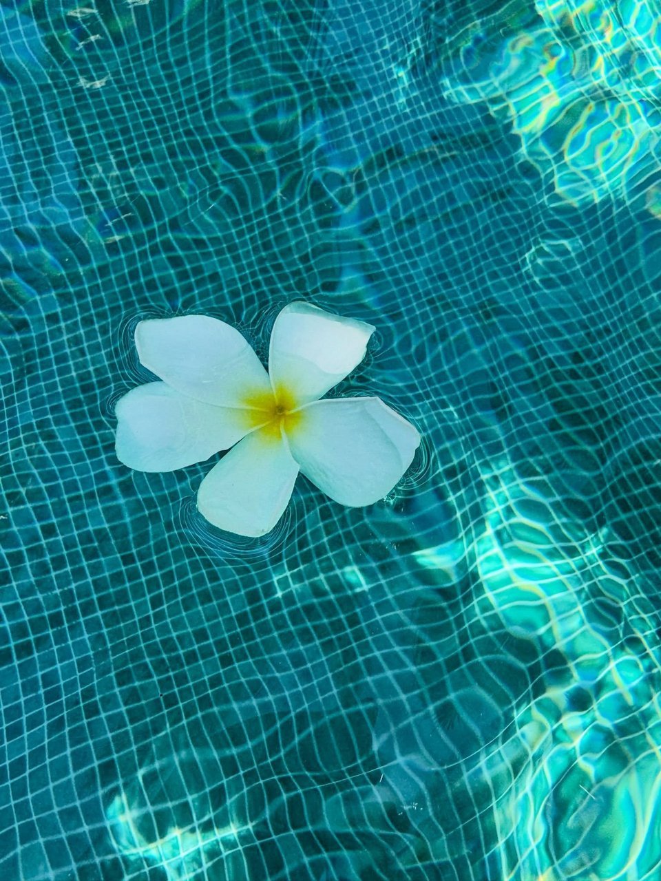 Φωτογραφία: Halle Berry / Instagram
