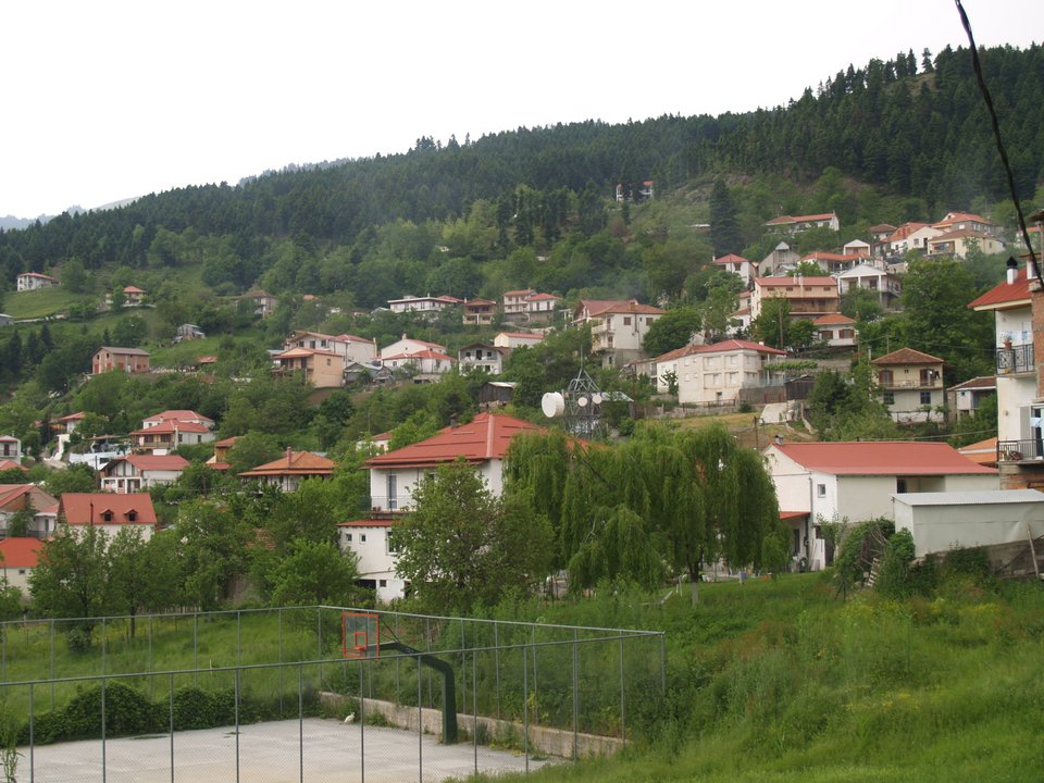 Το χωριό διαθέτει δημοτικό σχολείο και βρεφονηπιακό σταθμό, καφενεία και ταβέρνες 