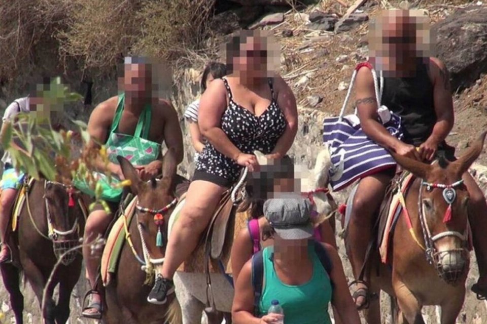 Φωτογραφία: PETA