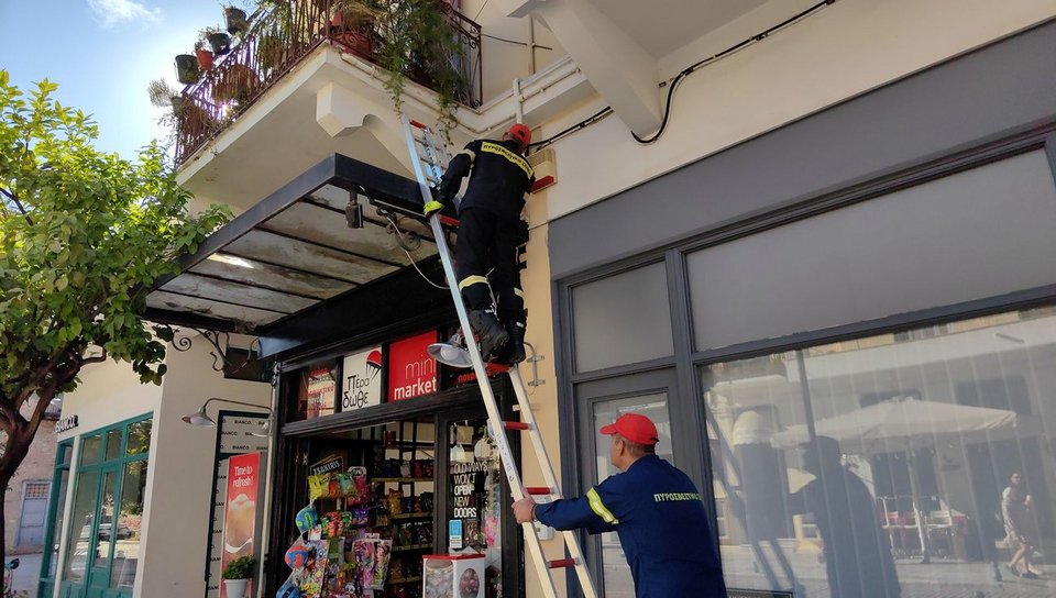 Επιχείρηση απεγκλωβισμού γατούλας στο Ναύπλιο - ΑΠΕ/ΜΠΕ 