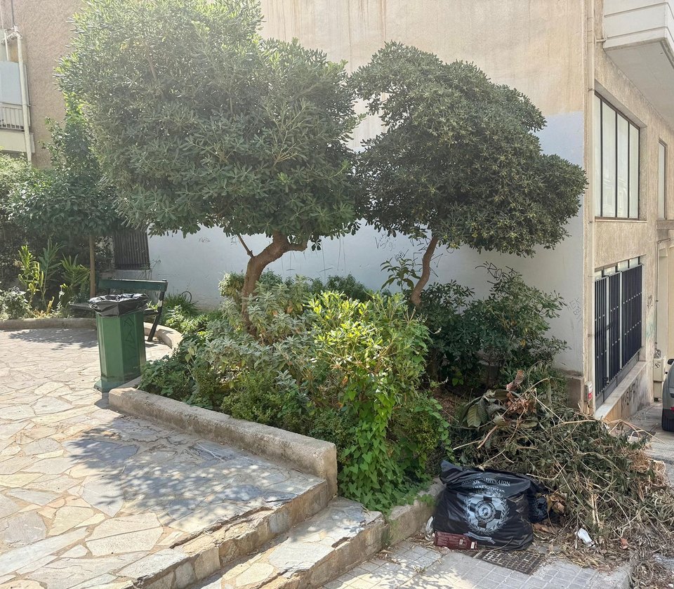  Κυψέλη