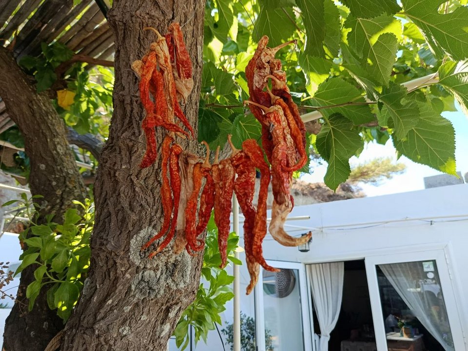 Νεκταρία Κοκκινάκη μαγείρεψε για την βασιλική οικογένεια της Ισπανίας