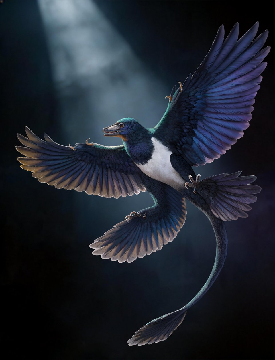 Αναπαράσταση του Norellraptor barsboldi / Credit: Mr. Zhao Chuang 