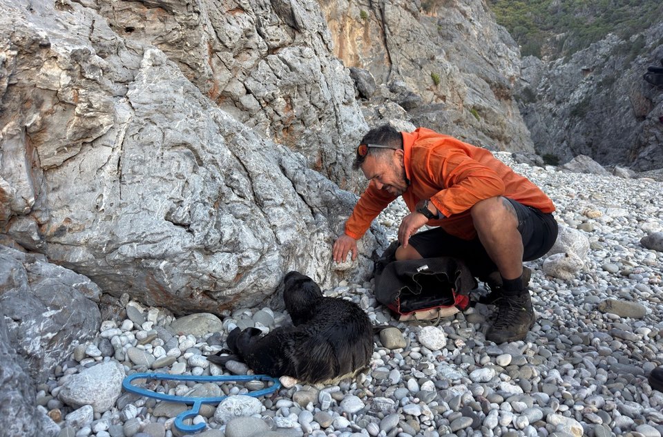 Μέλη της ομάδας Outdoor Activities Greece διέσωσαν ένα τραυματισμένο μωρό φώκιας στα Κύθηρα – Πηγή φωτογραφιών Animal Aid Kythira Instagram