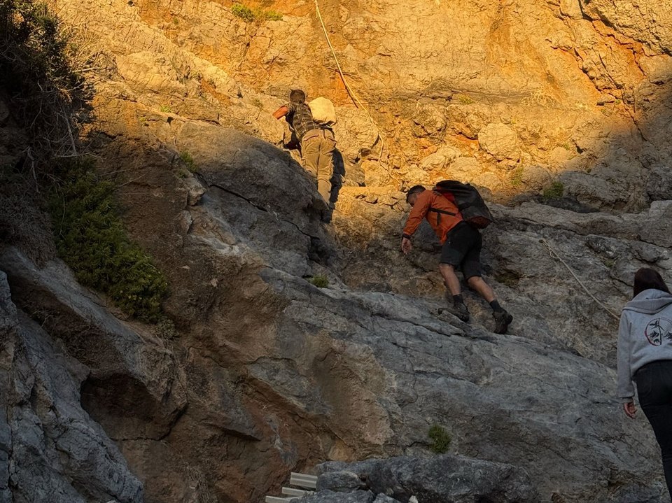 Μέλη της ομάδας Outdoor Activities Greece διέσωσαν ένα τραυματισμένο μωρό φώκιας στα Κύθηρα – Πηγή φωτογραφιών Animal Aid Kythira Instagram