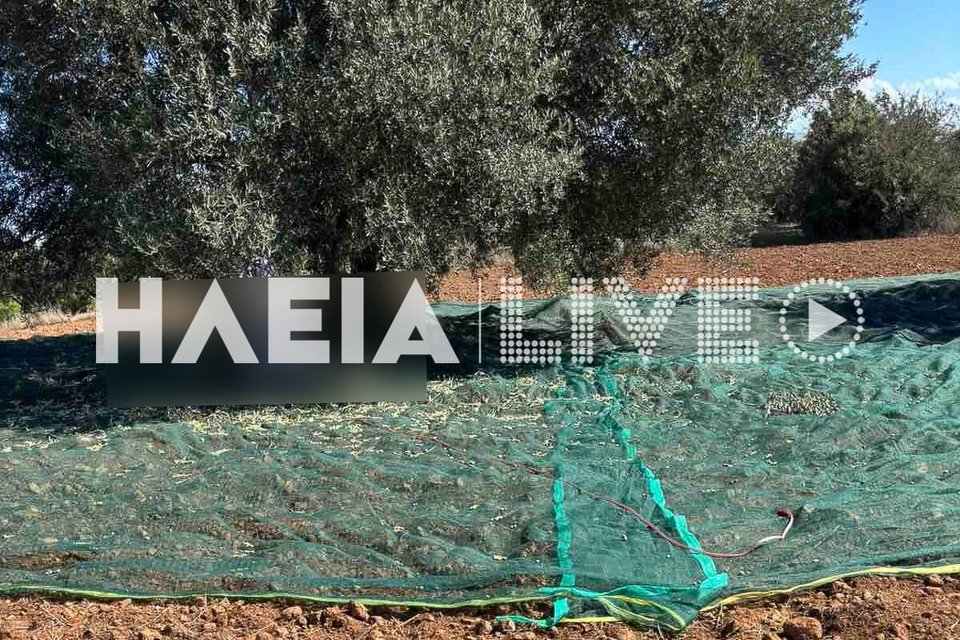 Το σημείο που εντοπίστηκε νεκρός ο 73χρονος / Φωτογραφία: ilialive