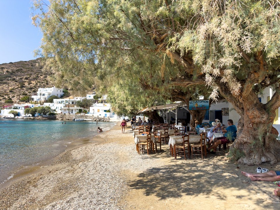 Ξεχωριστή έμφαση δίνεται στη σιφνέικη γαστρονομία, η οποία παρουσιάζεται ως αναπόσπαστο στοιχείο της ταυτότητας του προορισμού