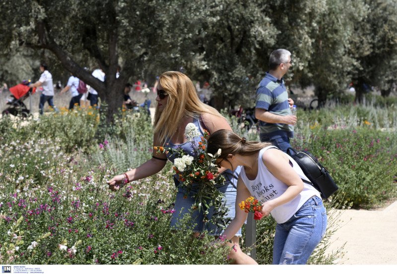 Το πάρκο του ΚΠΙΣΝ