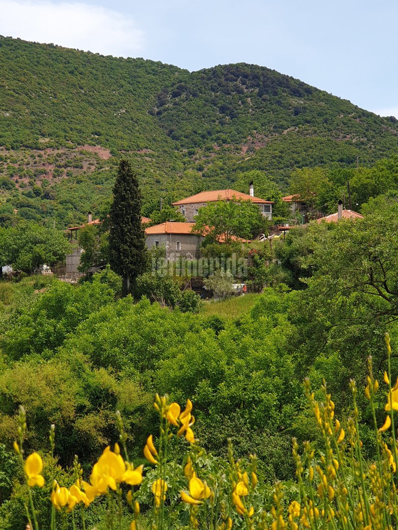 Στα λιγοστά σπίτια μαζί με τους μεζέδες βγαίνουν και τα ...μπλοκάκια για να καταμετρηθούν οι ψήφοι.