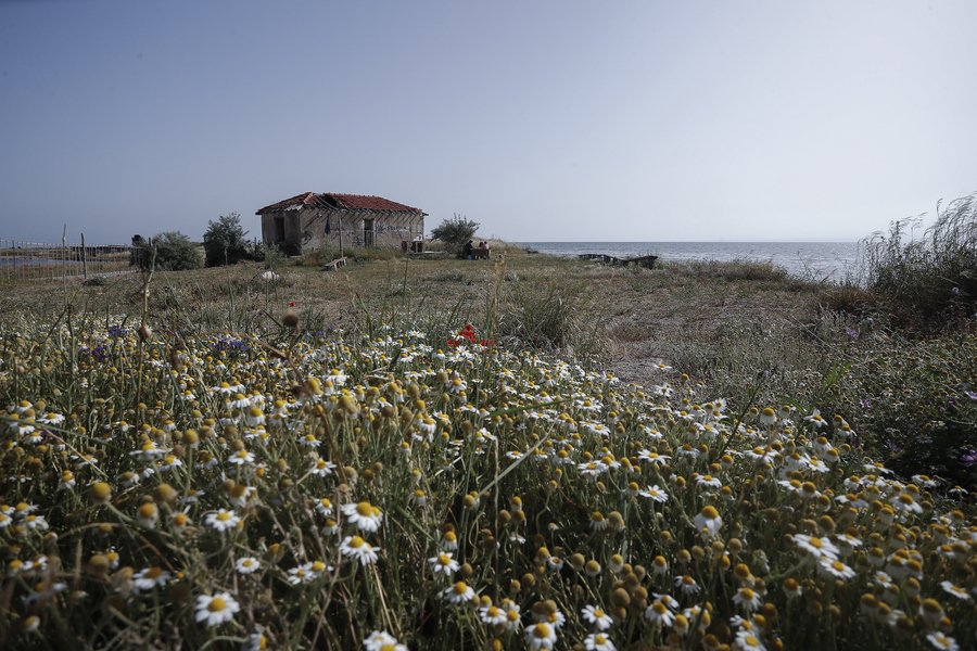πετρινο σπιτι 