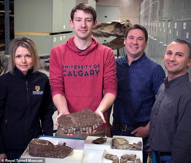 Η ανακάλυψη του Θανατοθεριστή/ Φωτογραφία: Royal Tyrell Museum