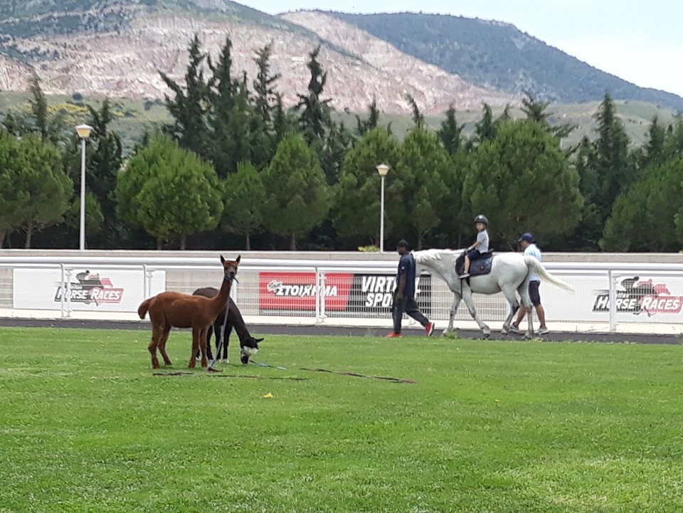 Τα παιδιά διασκεδάζουν κάθε Κυριακή στο Markopoulo Park