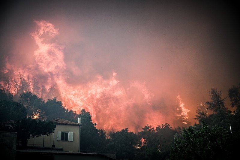 (EUROKINISSI/ΜΙΧΑΛΗΣ ΚΑΡΑΓΙΑΝΝΗΣ)