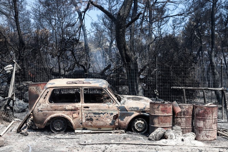 Καμένο αυτοκίνητο στο δάσος της Εύβοιας