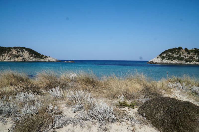 παραλία χορτα