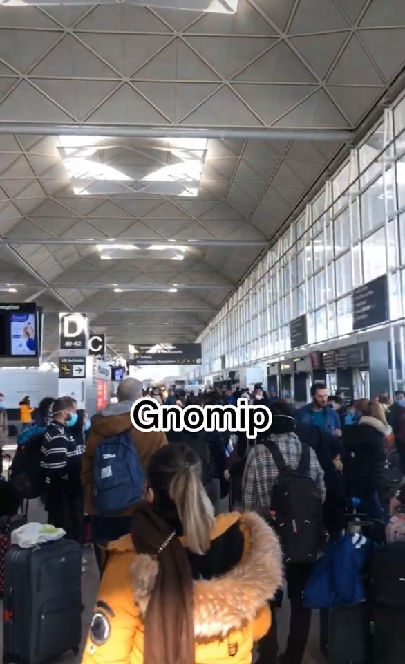 200 Ελληνες στο αεροδρόμιο Stansted της Αγγλίας / Φωτογραφία: gnomip