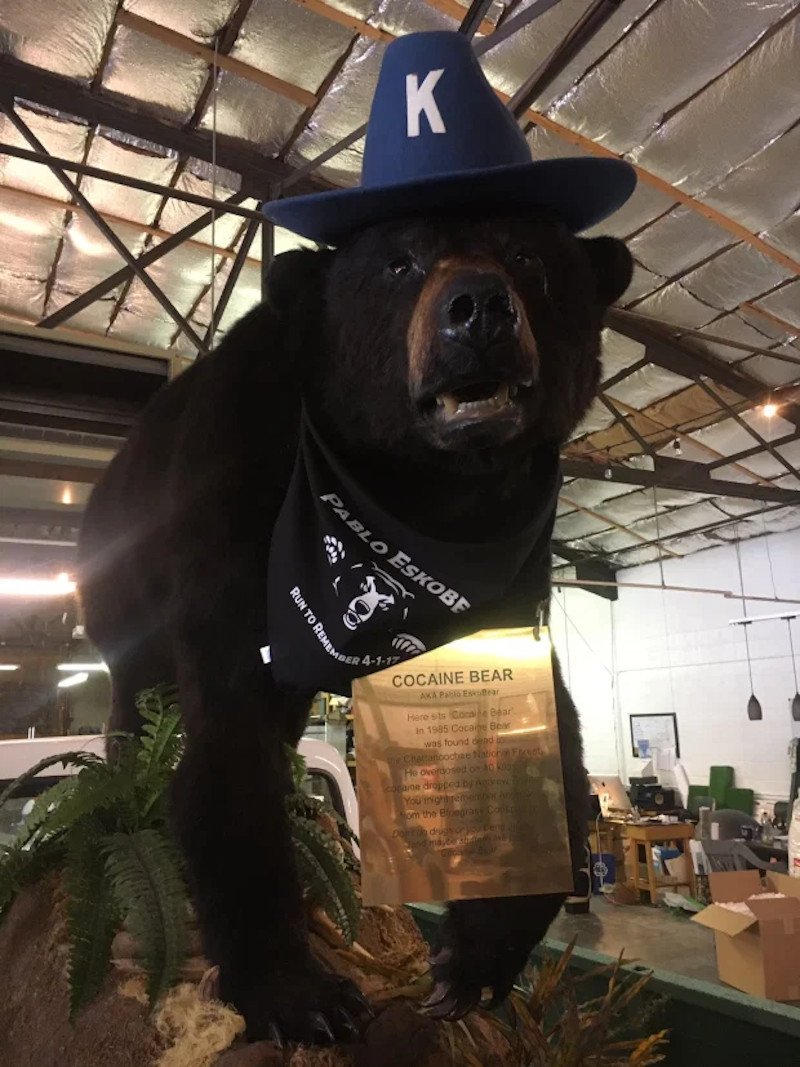 H Cocaine Bear αποτελεί ατραξιόν στο εμπορικό κέντρο Fun Mall στην πόλη Λέξινγκτον του Κεντάκι / Φωτογραφία: Twitter