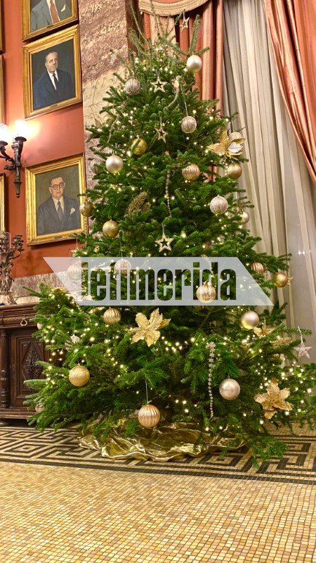 Η προμήθεια των φυσικών χριστουγεννιάτικων δέντρων έγινε από την ιδιαίτερη πατρίδα του Κ. Τασούλα, τα Γιάννενα.