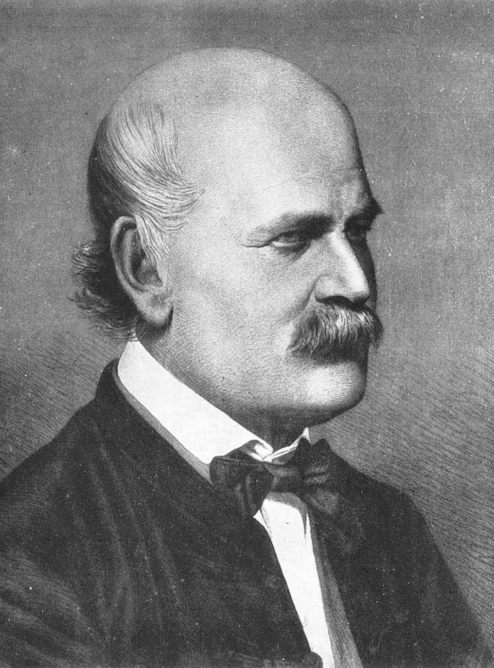 Φωτογραφία wikipedia