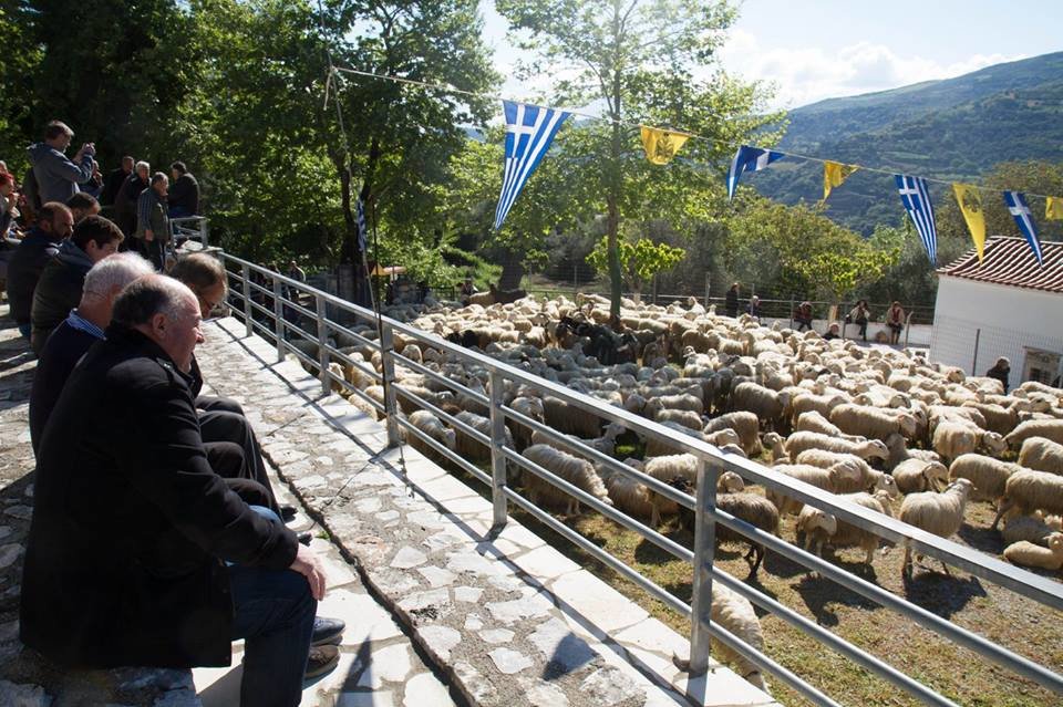 Προβατα στην εκκλησία