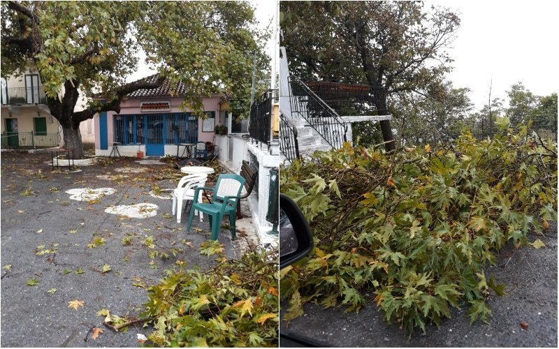 Τα σπασμένα κλαδιά απομακρύνθηκαν για να μην δημιουργηθούν επιπλέον προβλήματα