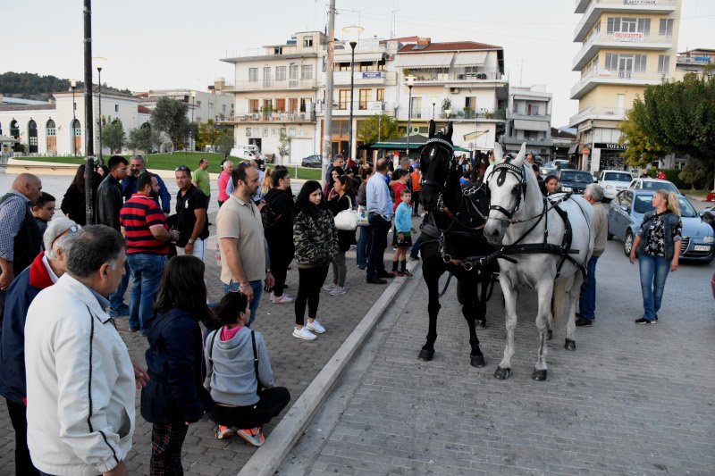 αλογα κόσμος