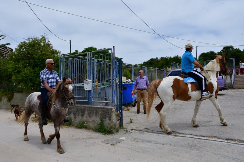 Αλογα μπαίνουν σε σχολείο