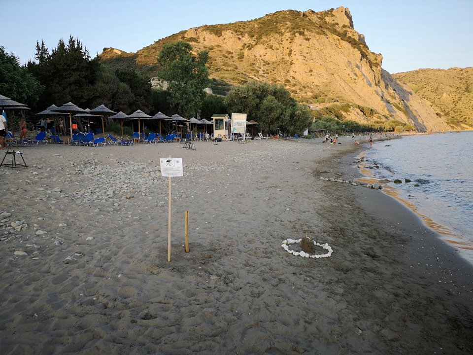 Τον Ιούλιο και τον Αύγουστο ολόκληρη η παραλία είναι γεμάτη από φωλιές με αυγά καρετα καρετα