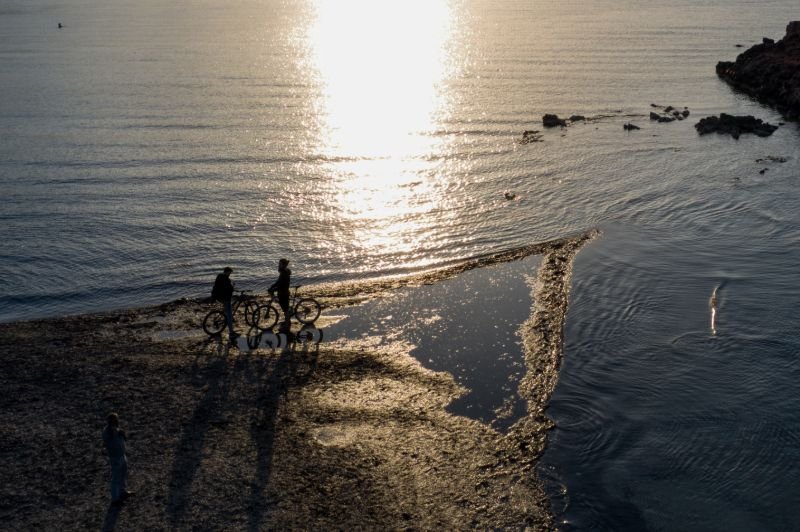 Καβούρι άμπωτη