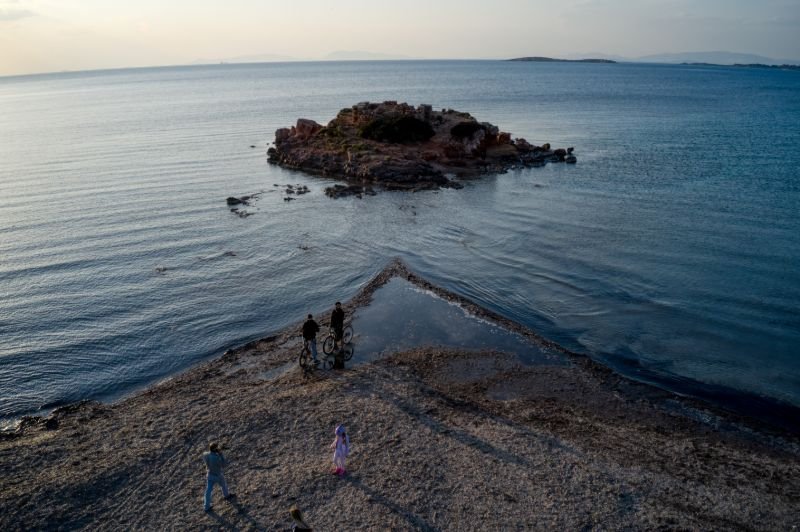 Καβούρι άμπωτη