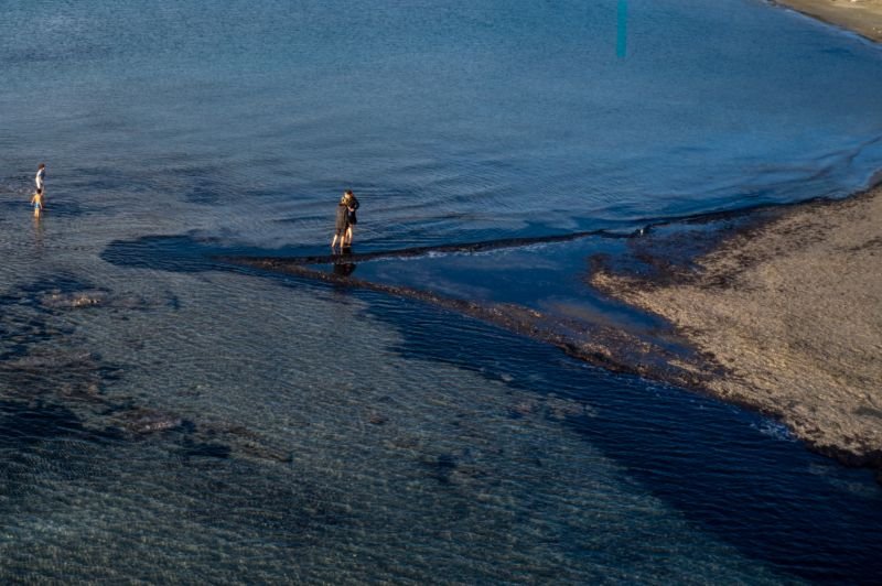 Καβούρι άμπωτη
